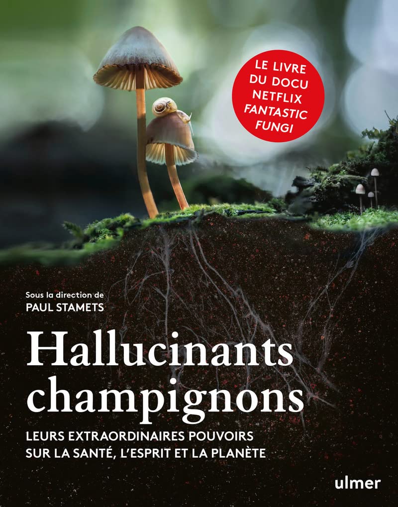 <p>“Hallucinants champignons”, dirigé par Paul Stamets et inspiré du documentaire “Fantastic Fungi” de Louie Schwartzberg, explore les pouvoirs extraordinaires des champignons. Ce livre enrichit le documentaire en présentant des mycologues, artistes, écologues et médecins, et en révélant comment les champignons peuvent influencer notre santé, altérer notre conscience et améliorer l’équilibre écologique de la planète. Les champignons, avec leur réseau mycélien, facilitent la communication entre les arbres et peuvent dépolluer les sols, offrant des solutions aux défis médicaux et environnementaux actuels.</p>
