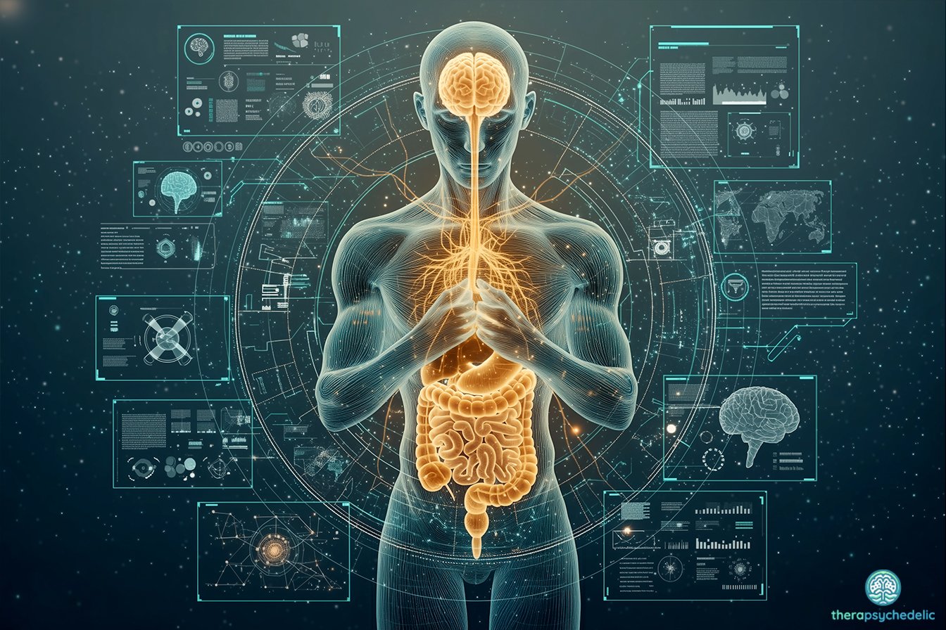 Illustration futuriste de l'axe intestin-cerveau montrant une silhouette humaine transparente. Le cerveau et le système digestif sont illuminés en orange, reliés par un réseau de voies neuronales sur un fond de données scientifiques.