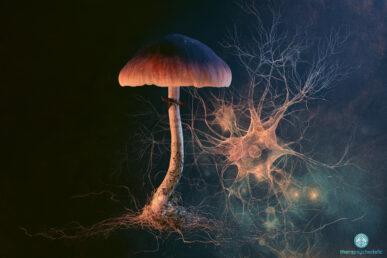 Champignon à psilocybine relié à un neurone, symbole de la protection des nerfs face à la chimiothérapie